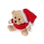 Teddybeer met kerstmuts standaard