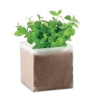 Compost met mint zaadjes beige