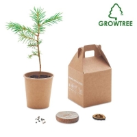 Pijnboom set Growtree™ beige