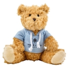 Pluche teddybeer met hoodie lichtblauw