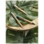Borneo bamboe balpen naturel/koningsblauw