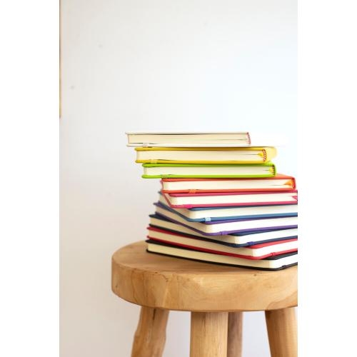 A5 notitieboekje budget rood