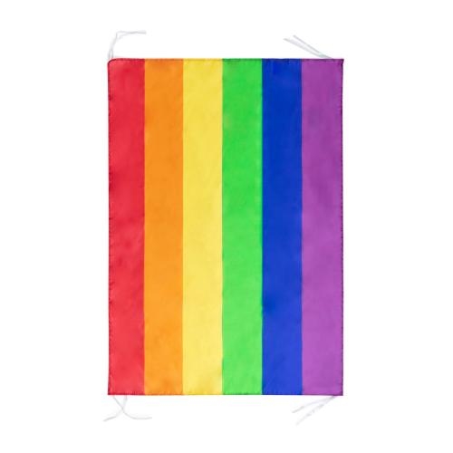 Vlag Regenboog rainbow