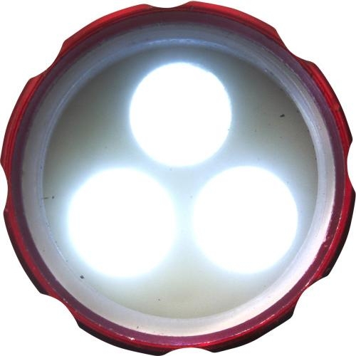 Sleutelhanger met aluminium zaklampje rood