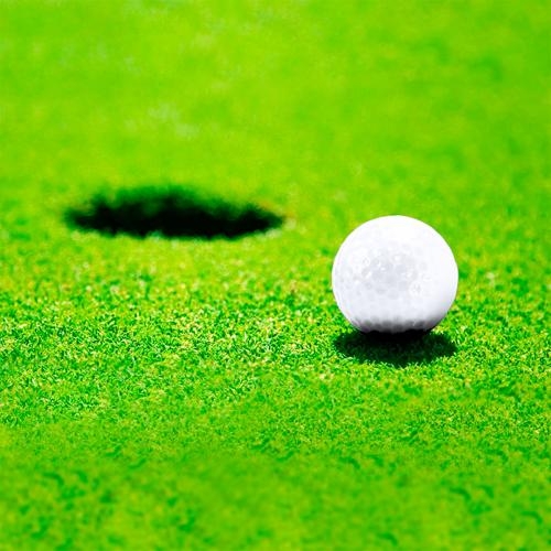 Golfbal Nessa wit