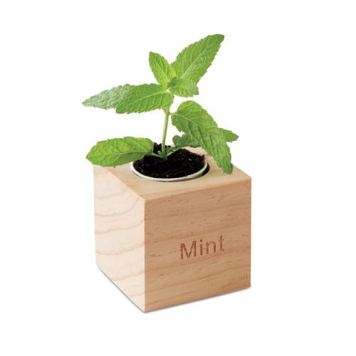 Kweekset, munt in houten pot hout