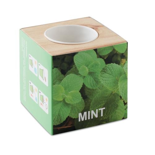 Kweekset, munt in houten pot hout