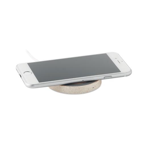 Tarwestro ABS oplader Plato+ beige