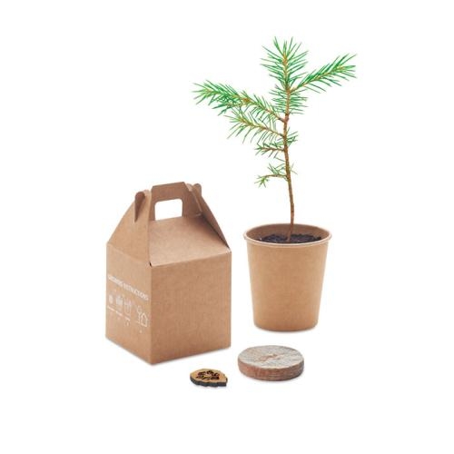 Pijnboom set Growtree™ beige