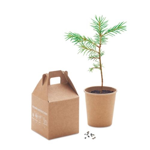 Pijnboom set Growtree™ beige