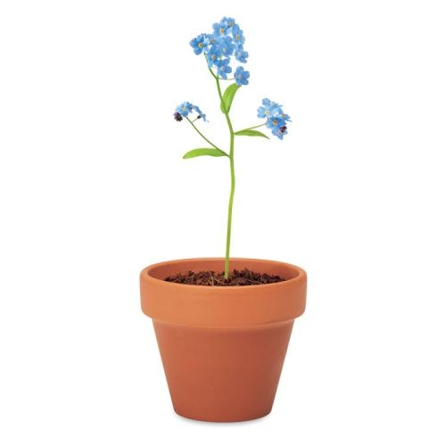 Potje Vergeet-me-nietjes Forget me not hout