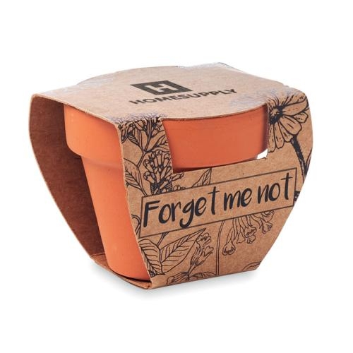 Potje Vergeet-me-nietjes Forget me not hout