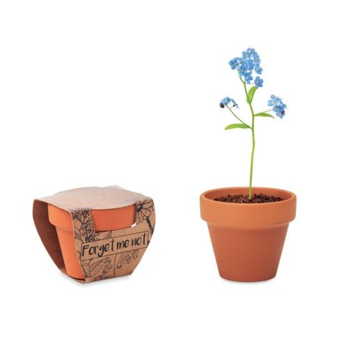 Potje Vergeet-me-nietjes Forget me not hout
