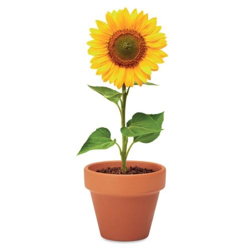 Potje Zonnebloem Sunflower hout