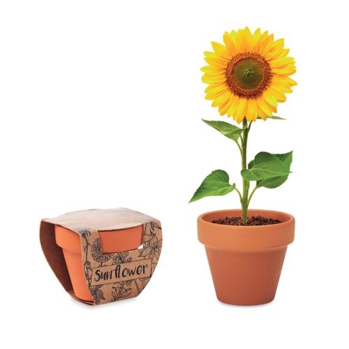 Potje Zonnebloem Sunflower hout
