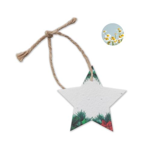 Zaadpapier kerstster wit