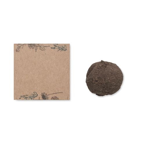 Zaadbom kweekset Bombi beige