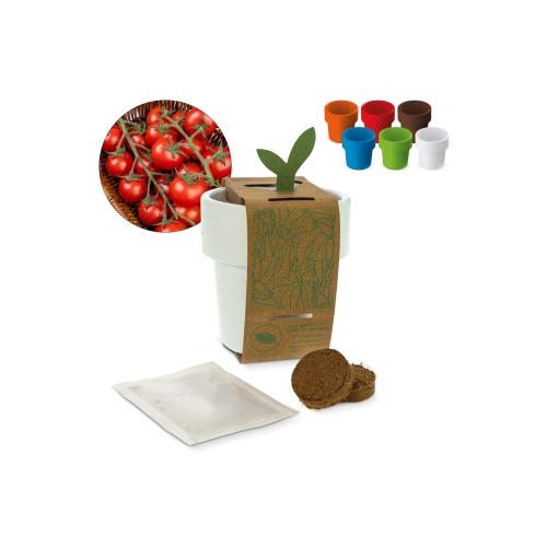 Hot-but-cool beker kerstomatenzaadjes