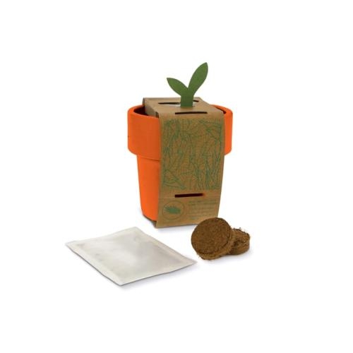 Hot-but-cool beker basilicumzaadjes oranje