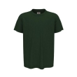 bottle green