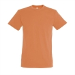 Apricot