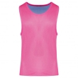 roze / hemelsblauw