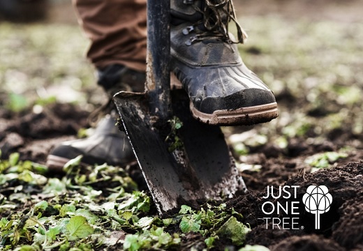man plant boom met just one tree
