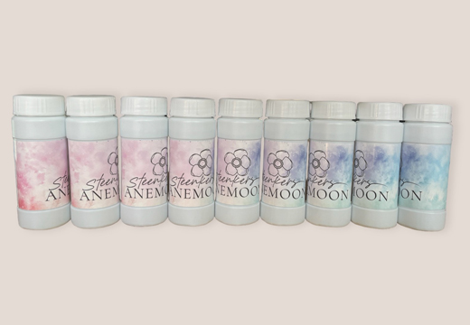 Steenkers Anemoon